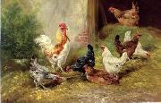 unknow artist poultry  127 oil painting reproduction